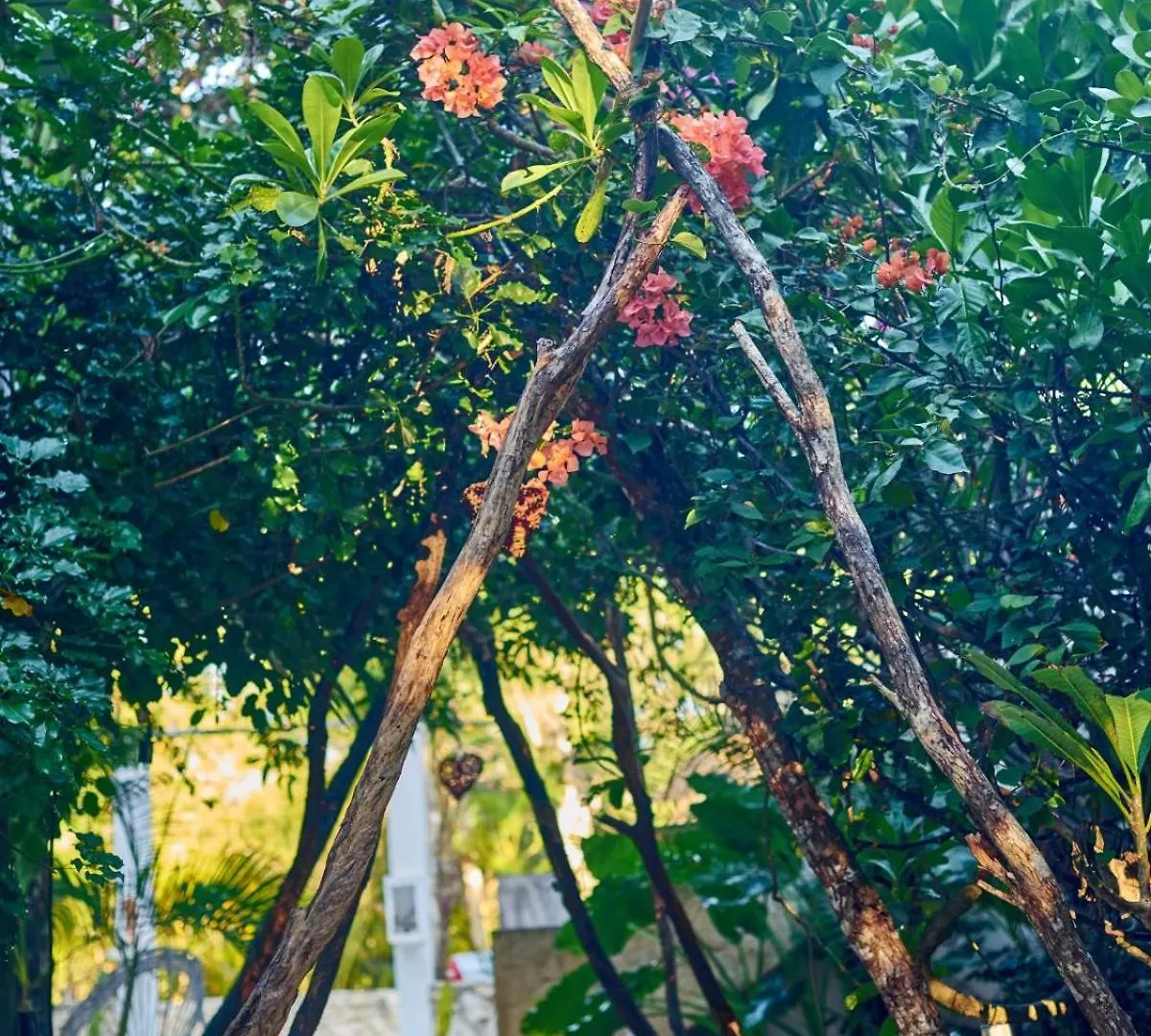 Villa Agua Y Fuego Tulum Panzió